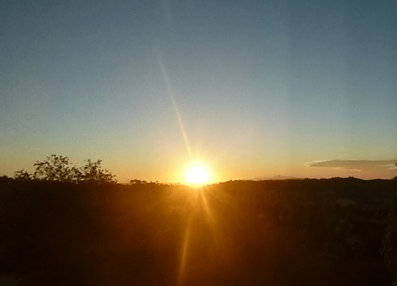 P1000515a