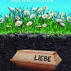 Begraben unter Gänseblümchen (Mirjam Dreer)