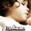 Die radioaktive Marmelade meiner Großmutter (Ramona Ambs)