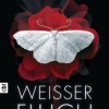 Weißer Fluch (Holly Black)